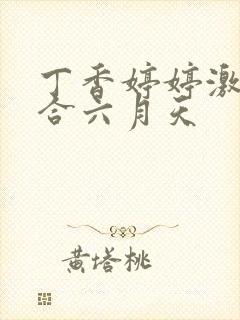 丁香婷婷激情综合六月天