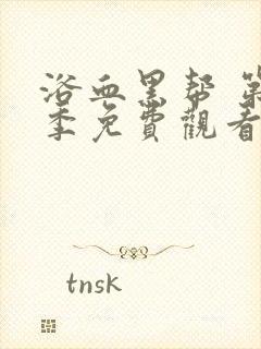 浴血黑帮 第二季免费观看