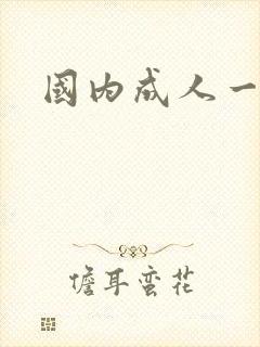 国内成人一级片封面