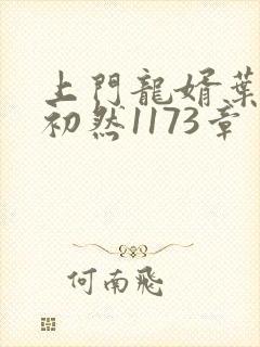 上门龙婿叶辰萧初然1173章