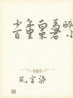 少年白马醉春风百里东君 小说