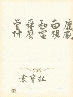 曾舜和白鹿演的什么电视剧