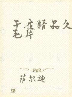 午夜精品久久久毛片