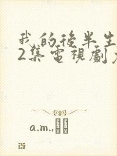 我的后半生全42集电视剧免费播放封面