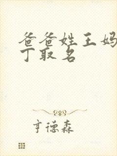 爸爸姓王妈妈姓丁取名