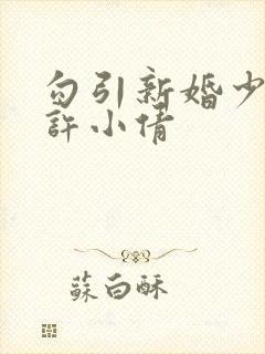 勾引新婚少妇老许小倩封面