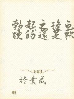 勃起之后龟头是硬的还是软的封面