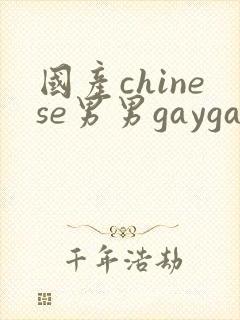 国产chinese男男gaygay网站, chinese