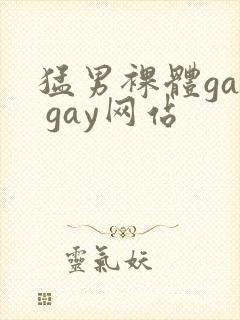 猛男裸体gay gay网站封面