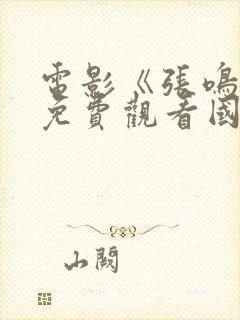 电影《张鸣岐》免费观看国语