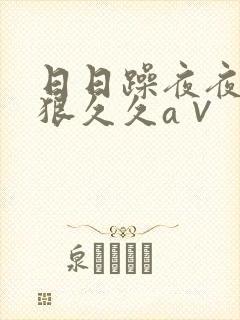日日躁夜夜躁狠狠久久a∨
