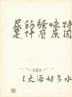 尿的骚味特别大是什么原因封面