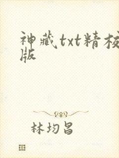 神藏txt精校版