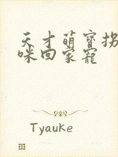 天才萌宝拐个妈咪回家宠