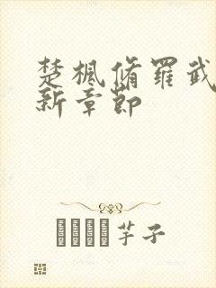 楚枫修罗武神全新章节