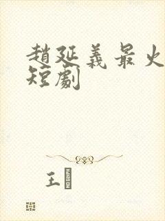 赵延义最火十部短剧