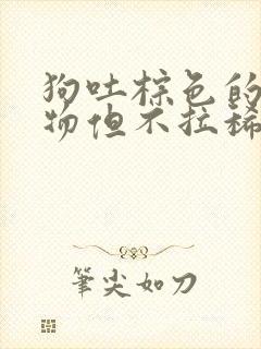 狗吐棕色的呕吐物但不拉稀