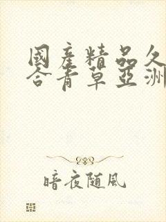 国产精品久久综合青草亚洲av封面