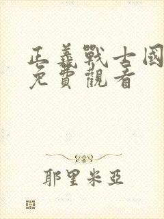 正义战士国语版免费观看