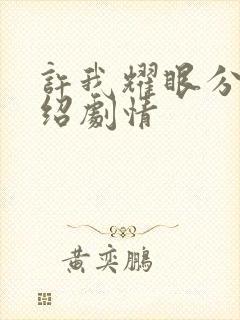 许我耀眼分集介绍剧情