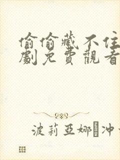 偷偷藏不住电视剧免费观看完整