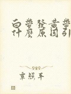 白带发黄带血是什么原因引起的