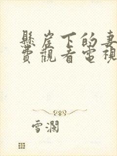 悬崖下的妻子免费观看电视剧全集封面