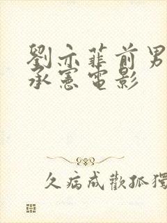 刘亦菲前男友宋承宪电影