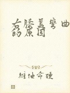 右膝盖弯曲疼痛的原因