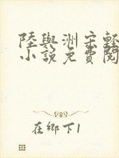 陆与洲宋轻语的小说免费阅读无弹窗封面