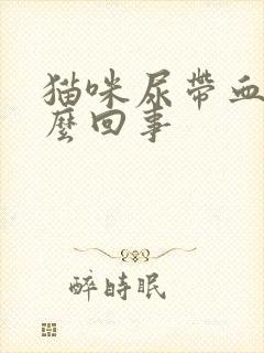 猫咪尿带血是怎么回事