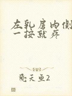 左乳房内侧边缘一按就疼