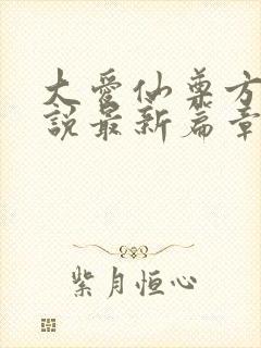 大爱仙尊方源小说最新篇章