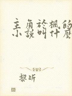 主角于枫的都市小说叫什么名字