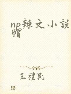 np辣文小说绿帽