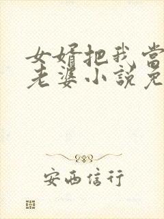 女婿把我当成他老婆小说免费阅读封面