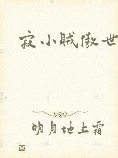 寂小贼傲世丹神