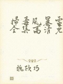 扫毒风暴电视剧全集高清免费影院封面