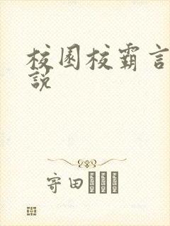 校园校霸言情小说