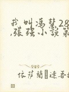 我叫冯慧28岁,张强小说第四47章