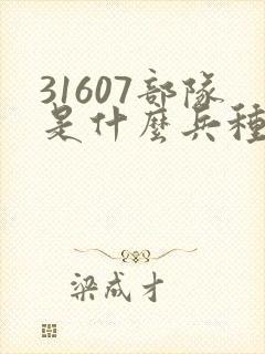 31607部队是什么兵种