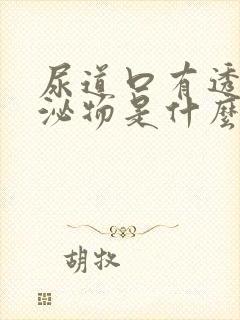 尿道口有透明分泌物是什么病