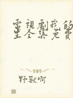 电视剧我的后半生全集免费观看