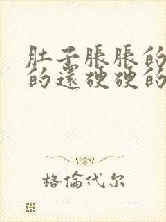 肚子胀胀的鼓鼓的还硬硬的封面