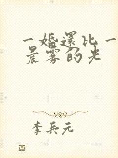 一婚还比一婚高 晨雾的光