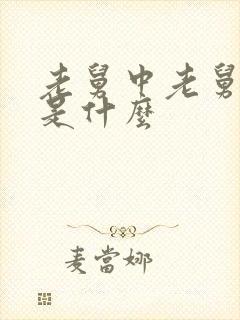 老舅中老舅结局是什么