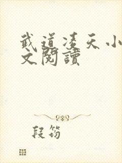 武道凌天小说全文阅读