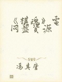 《棋魂》电视剧网盘资源