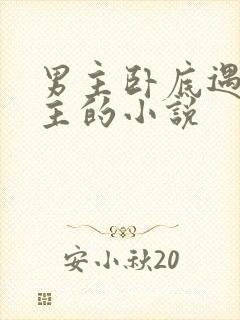 男主卧底遇到女主的小说