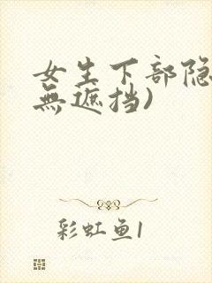 女生下部隐私(无遮挡)